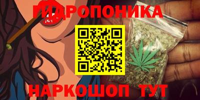 прущий лед Кингисепп